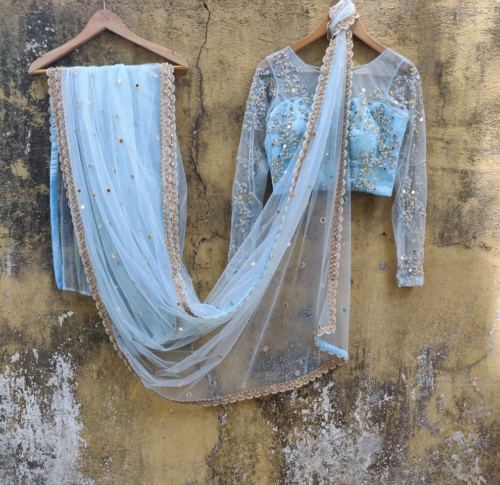 Sky Blue Net Saree Sarees