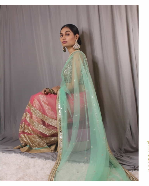 Sea Green and Blush Half and Half Saree - Fashion Brand & Designer Priti Sahni