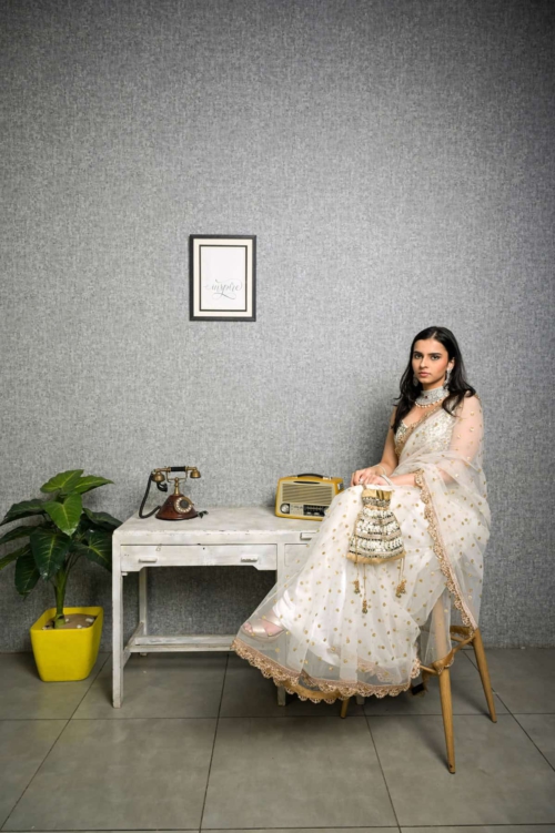 Ivory Mirror Work Blouse And Net Saree Mahru