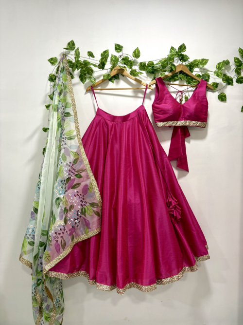 Hot Pink Lehenga Set With Hand-Painted Dupatta Lehengas